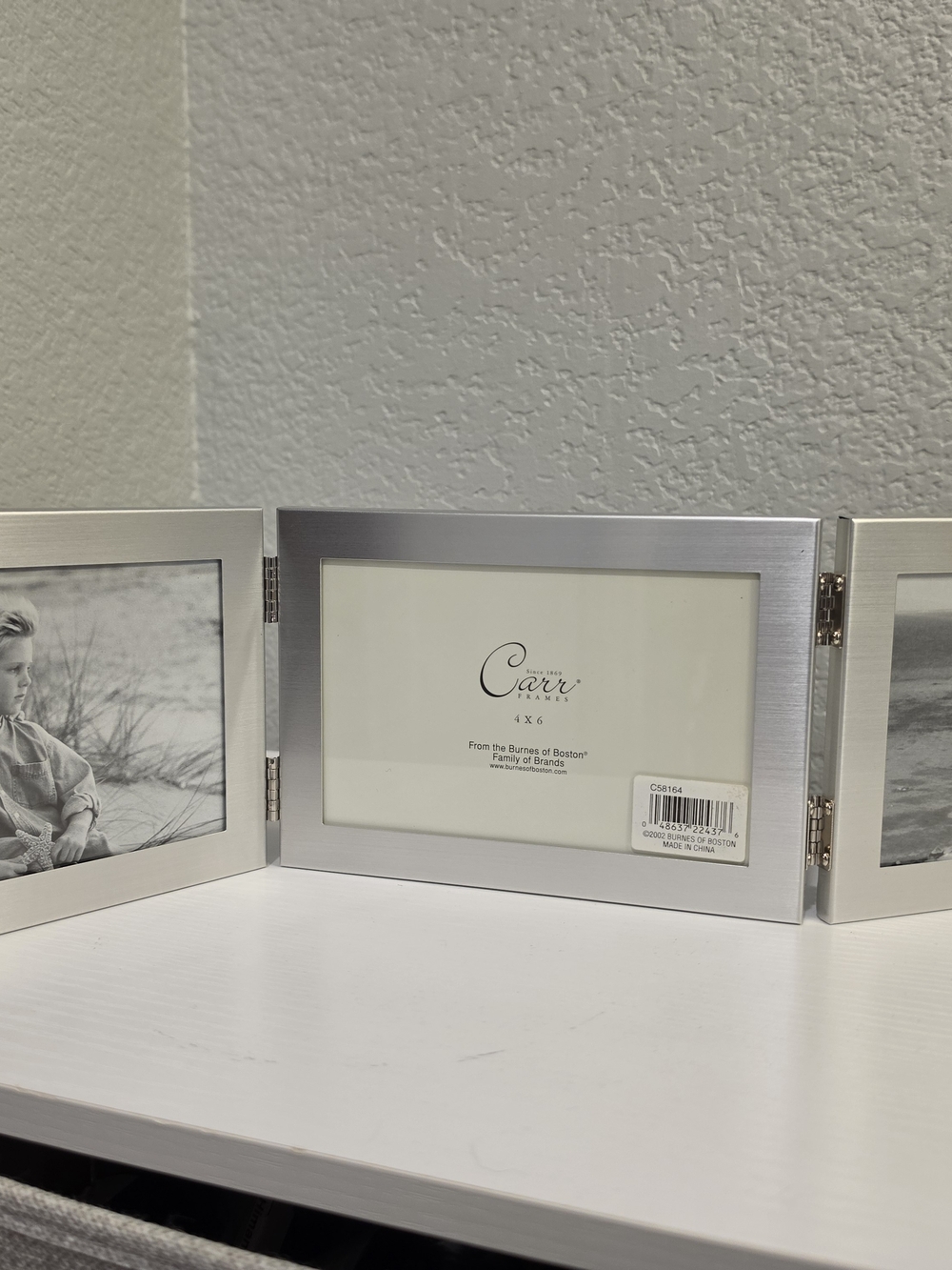 Carr 3-Panel Hinged Picture Frame in Silver